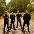 Stranglers, The